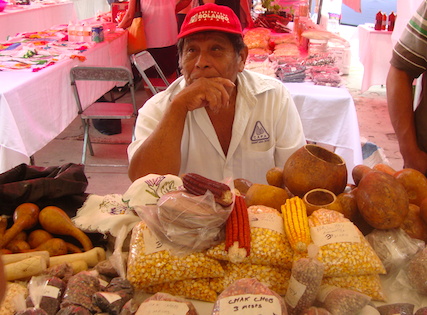 Semillas nativas en una feria que organizan pueblos mayas de Yucatán