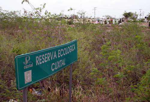 Foto de la Jornada de marzo de 2011. El pide dice: "Aspecto de la zona ecológica de Cuxtal, ubicada al sur de Mérida, donde se pueden observar viviendas construidas talando el monteFoto Luis A. Boffil"