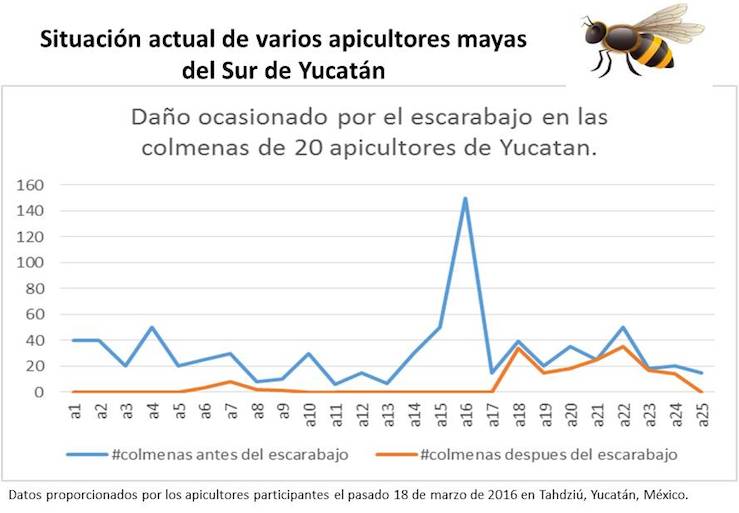 Datos proprocionados por los apicultores mayas