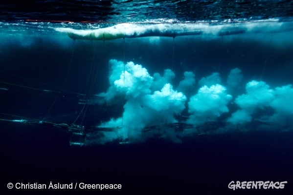 Explosiones marinas en busca de reservas de petróleo en el Ártico. Foto de Greenpeace