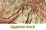 El faraón Akenatón sacrifica un pato, 1353-1336 a.C.