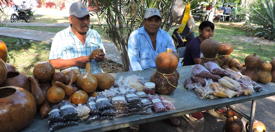 Campesinos de Xoy, comisaría de Peto, en la Feria de las Semillas en Chapingo