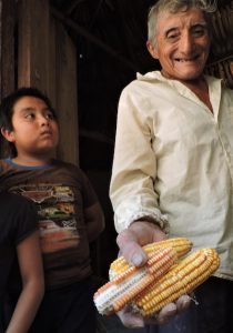 Un abuelo muestra sus semillas, en el sur de Yucatan